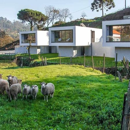 Viana Do Castelo - Amonde Village Casa P - Conforto Qualidade Natureza Zewnętrze zdjęcie