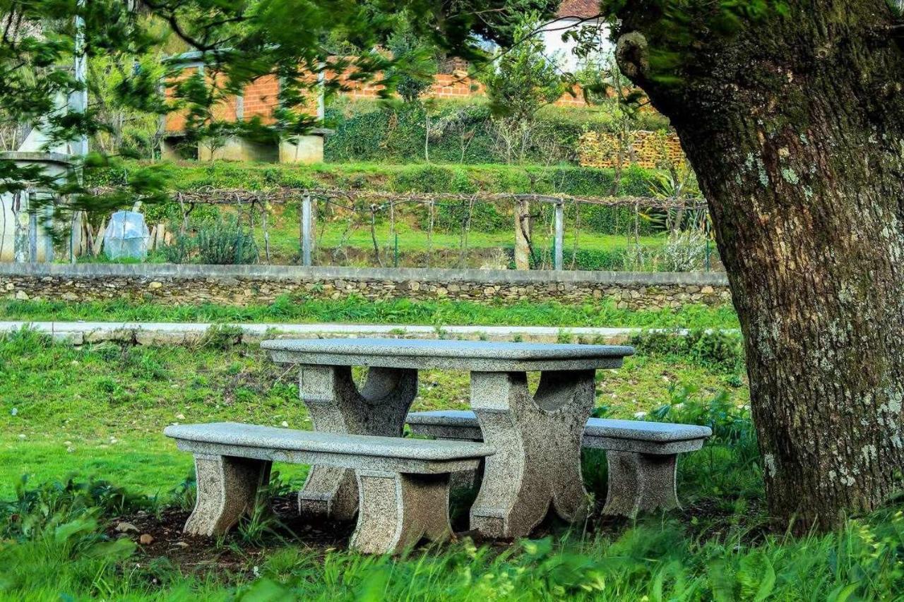 Viana Do Castelo - Amonde Village Casa P - Conforto Qualidade Natureza Zewnętrze zdjęcie