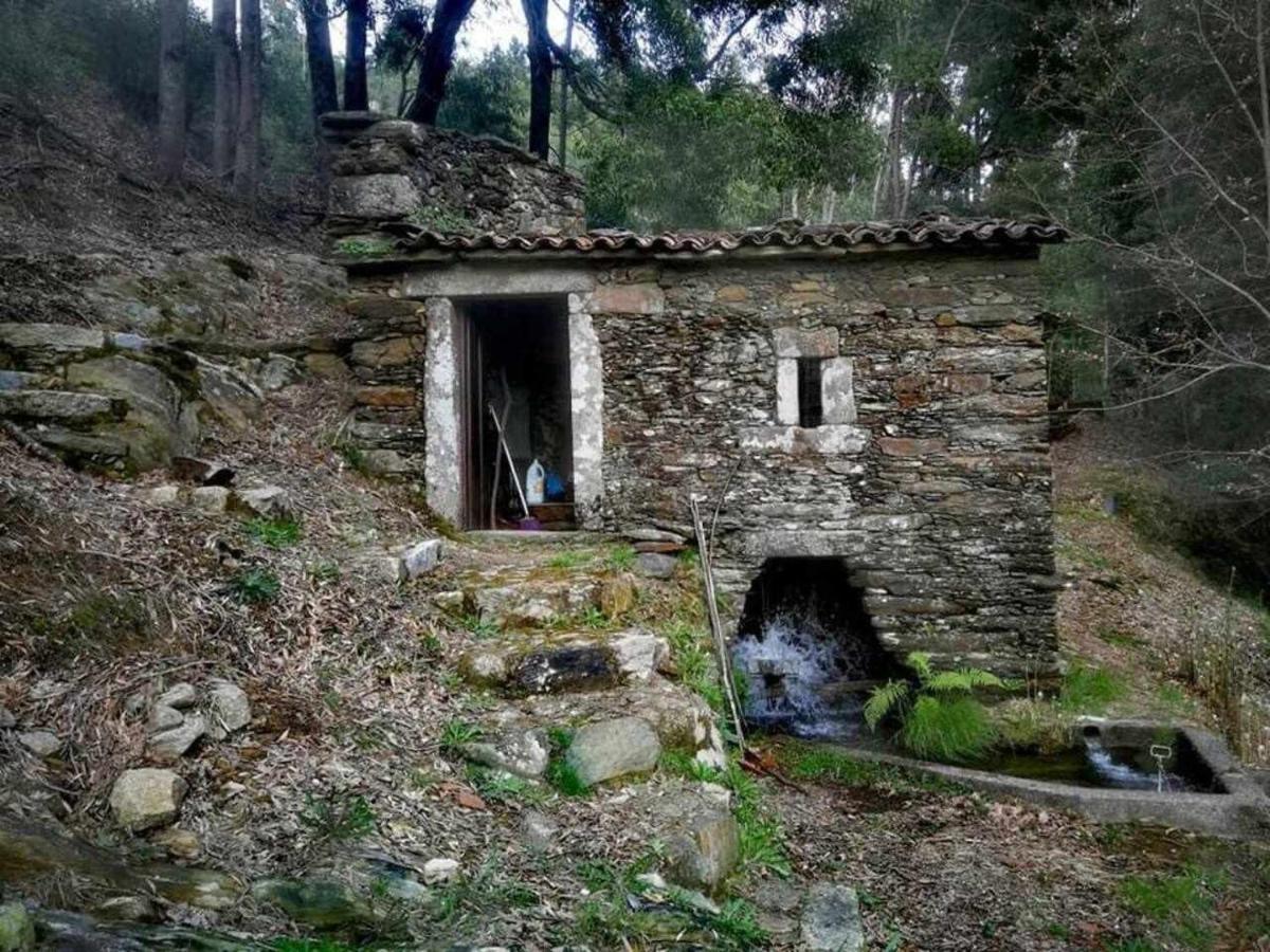 Viana Do Castelo - Amonde Village Casa P - Conforto Qualidade Natureza Zewnętrze zdjęcie